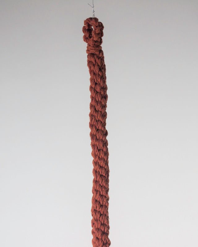 Brown braided rope hanging against a white background