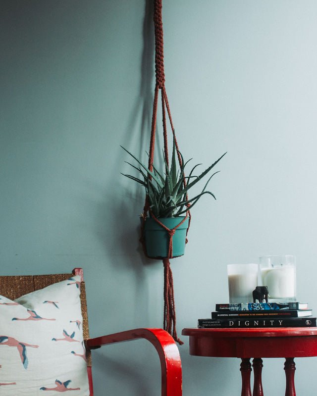 Hanging plant in a macrame holder on a gray wall with a red table and chair.