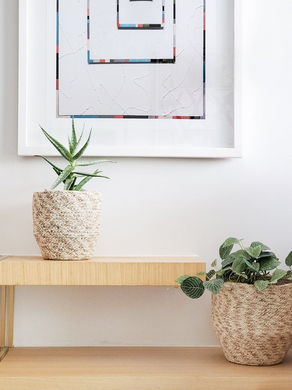 Two woven planters with plants on a wooden bench against a white wall with framed abstract art.